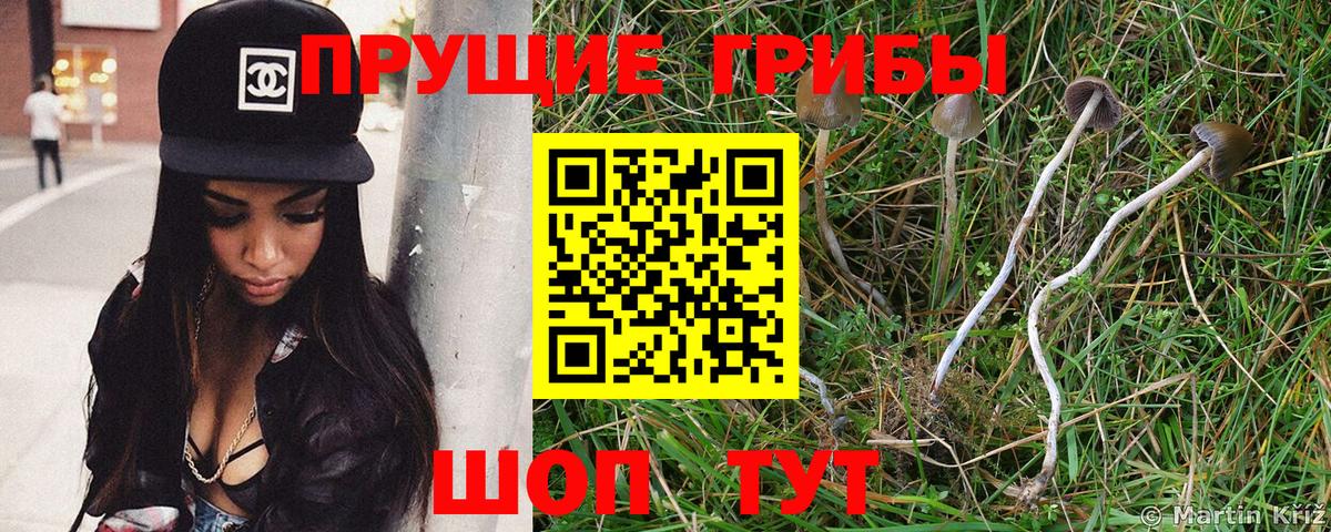 Чебаркуль  Галлюциногенные грибы MAGIC MUSHROOMS  Вход с VPN 